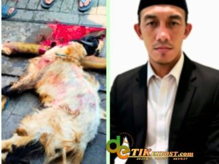 Redaksi Harian Mata Berita Ramaikan Hari Raya Idul Adha Dengan Sembelih Hewan Qurban