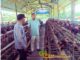 Bhabinkamtibmas Polsek Rembang Gelar Pantau Peternakan Ayam Petelur Demi Ketahanan Pangan